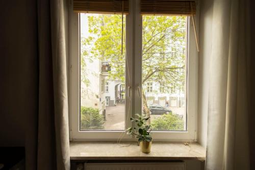 a window with a potted plant sitting on a window sill at Przytulne mieszkanie na ulicy Chmielna w samym centrum Warszawy in Warsaw