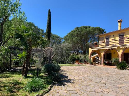 una casa con una palmera y una entrada de piedra en Affittacamere La Crognoleta, en Fonteblanda