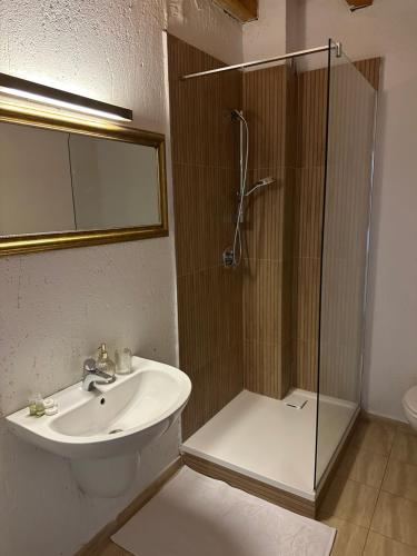 a bathroom with a sink and a shower with a glass door at Pension Conacul Vanatorului in Moieciu de Sus