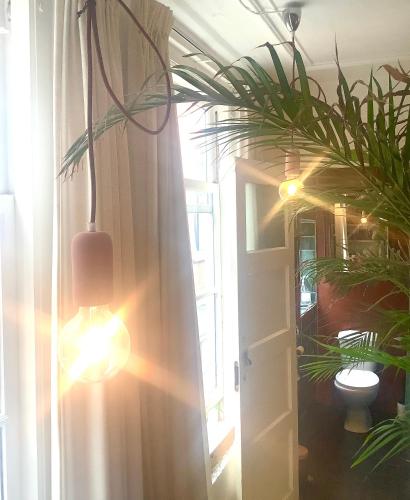 a room with a curtain and a door with a plant at Bookstor Atelier in The Hague