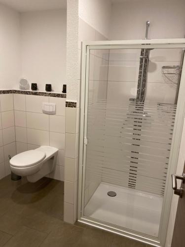 a bathroom with a shower and a toilet at Neustadt-Blick in Heilbad Heiligenstadt