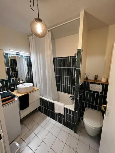 une salle de bain avec un lavabo, une baignoire et des toilettes dans l'établissement Charmant T2 dans Toulouse, à Toulouse