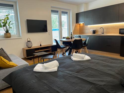 Fotografie z fotogalerie ubytování Apartmány Kyjov v Kyjově
