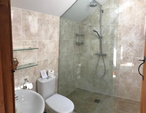 a bathroom with a shower and a toilet and a sink at Kings Farm in Withypool