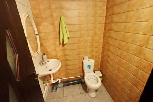 a small bathroom with a toilet and a sink at Valea Fazanilor in Durleşti