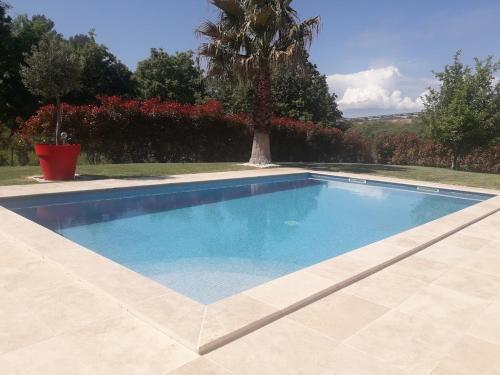 a swimming pool in a yard with a palm tree at Villa Les palmiers en Provence in Besse-sur-Issole