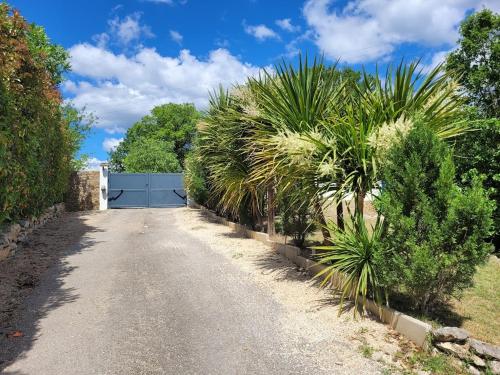 a driveway with palm trees and a blue fence at Villa Les palmiers en Provence in Besse-sur-Issole