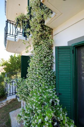 Gallery image of Sea La Vie Apartments in Ksamil