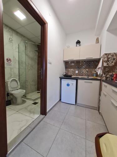 a kitchen with a sink and a toilet in a room at Bojana Apartment in Negotino