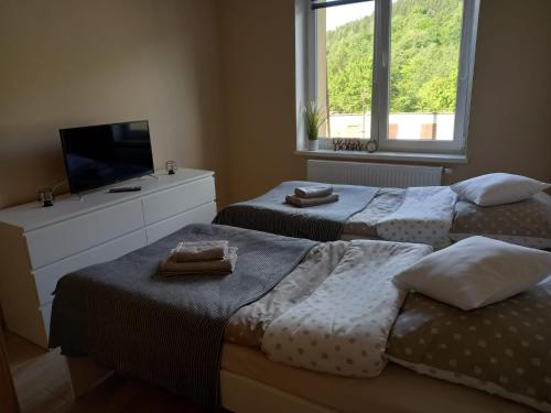 Posteľ alebo postele v izbe v ubytovaní Apartament Górski