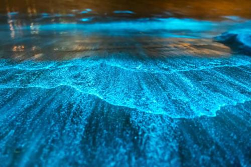 a close up view of a blue ocean floor at camiño dos faros in Ponteceso