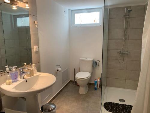 een badkamer met een toilet, een wastafel en een douche bij Tranquil apartment surrounded by nature & golf in Écharvine