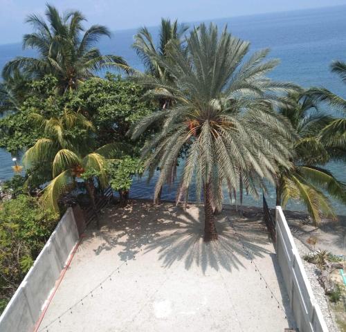 una playa con dos palmeras y el océano en Casa Talia Beach House, en Lobo