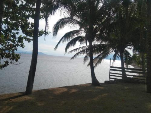 a view of the water from a beach with palm trees at Casa Talia Beach House in Lobo