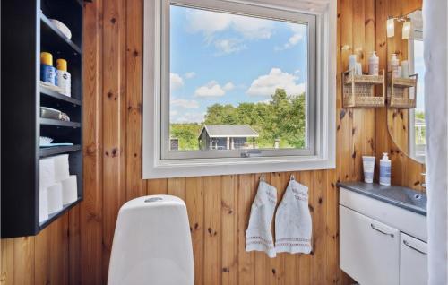 a bathroom with a window and a white toilet at Beautiful Home In Faaborg With Kitchen in Fåborg