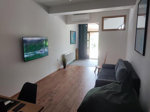 Μια τηλεόραση ή/και κέντρο ψυχαγωγίας στο Apartment Ivan-Experience Elite