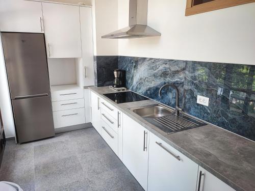 Kuchyň nebo kuchyňský kout v ubytování Apartment Ivan-Experience Elite