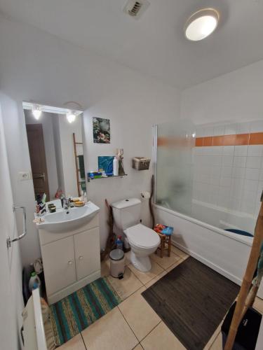 une salle de bain avec toilettes, lavabo et douche dans l'établissement BEAU T2 - PISCINE CHAUFFEE, à Serra-di-Ferro