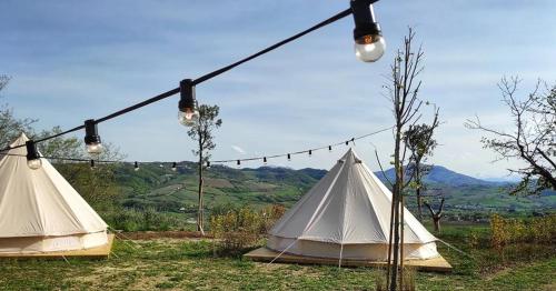 Bell tent in the vineyard with spectacular view
