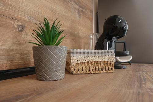 Lux Apartments Kranevo في كرانيفو: يوجد خزاف نباتي على رأس طاولة خشبية