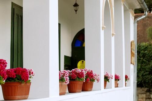 a row of potted flowers on a window sill at Flórián Vendégház in Villánykövesd