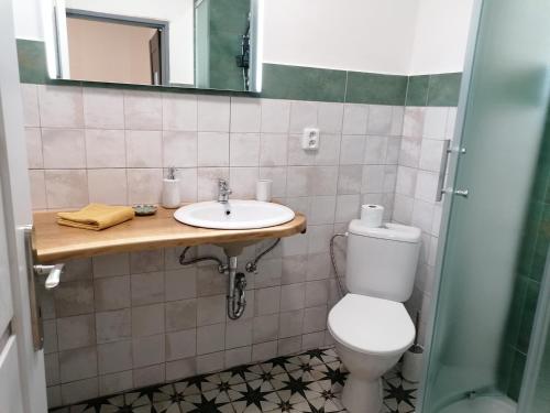 ein Bad mit einem WC und einem Waschbecken in der Unterkunft Jizerský Spirit in Jablonec nad Nisou