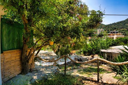 Φυσικό τοπίο κοντά σε αυτό το κατάλυμα σε φάρμα