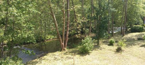 una vista aérea de un río en un bosque en Casa Rural Amamana, en Jemein