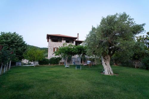 um grande quintal com uma árvore e uma casa em Olive Stone Villa 