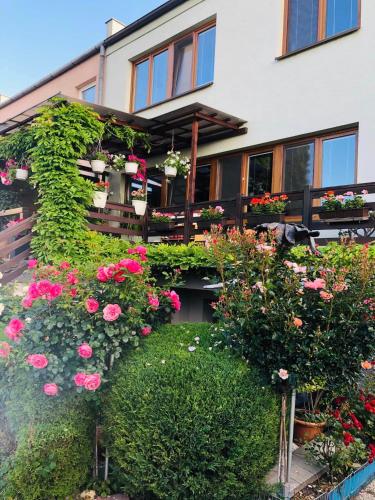a garden in front of a building with flowers at Ubytovani Na Hrazi 91 in Znojmo