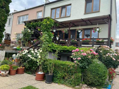 a house with plants and flowers in front of it at Ubytovani Na Hrazi 91 in Znojmo