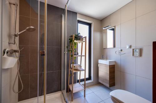 a bathroom with a shower and a toilet and a sink at Unique Villa -1 km to Beach, private Natural pool, Tennis Court & Jumping Mat in Sagres