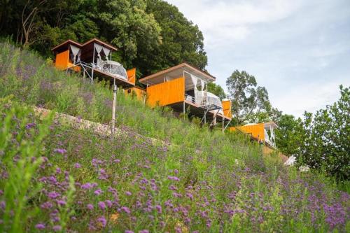 a row of cottages on a hill with a field of flowers at มิด้าโฮมสเตย์ม่อนแจ่ม in Mon Jam