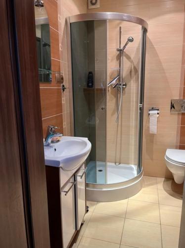 een badkamer met een douche, een wastafel en een toilet bij LakeHouse in Giewartów