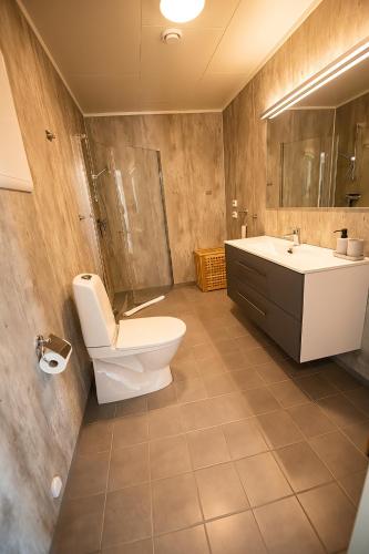 a bathroom with a toilet and a sink at Senja Fjordhotell and Apartments in Stonglandseidet