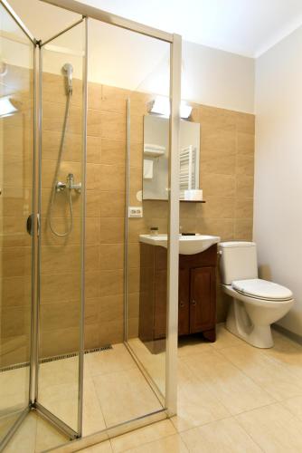 a bathroom with a shower and a toilet and a sink at Prinz Gregor in Braşov