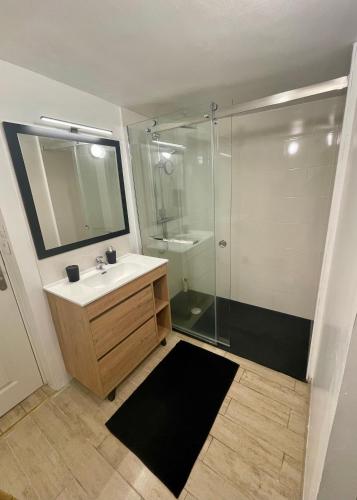 une salle de bain avec un lavabo et une douche dans l'établissement Appartement au cœur du vieux Rouen, à Rouen