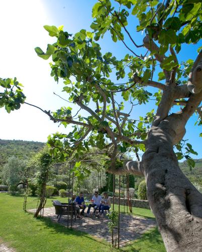 people sitting on a bench under a tree at Country Relais La Mortella in Porto Ercole