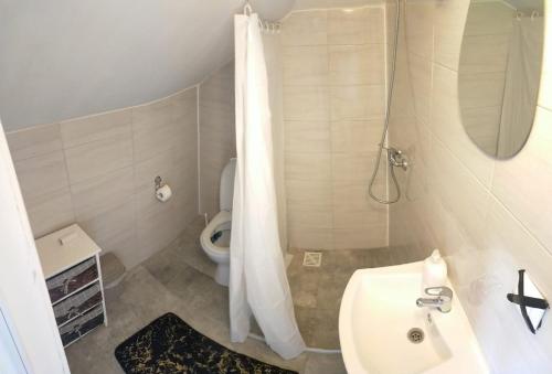 uma casa de banho com um chuveiro, um lavatório e um WC. em Lawendowy Dworek em Bałtów