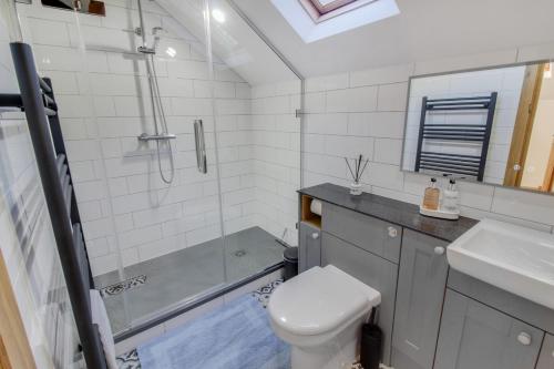 een badkamer met een douche, een toilet en een wastafel bij The Mill Nant Alyn in Rhydymwyn