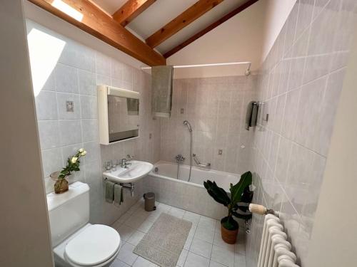 een badkamer met een wastafel, een toilet en een bad bij Cozy Ascona: attico mansardato in Ascona