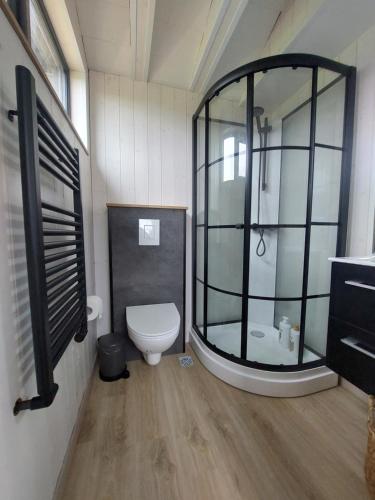 a bathroom with a toilet and a glass shower at Iceland Inn Cabin in Selfoss