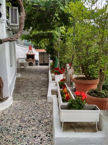 a garden with flowers and plants in pots at Vasilis Garden House in Kavala
