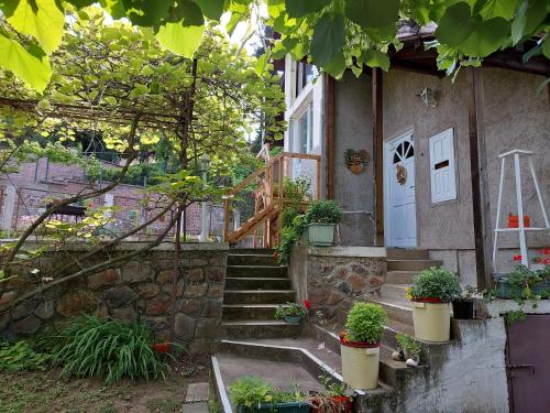 a house with stairs and potted plants on it at Apartman Nikola in Rakovac