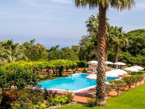 リカーディにあるEnticing Villa in Ricadi with Shared Swimming Poolのヤシの木とリゾートのスイミングプール