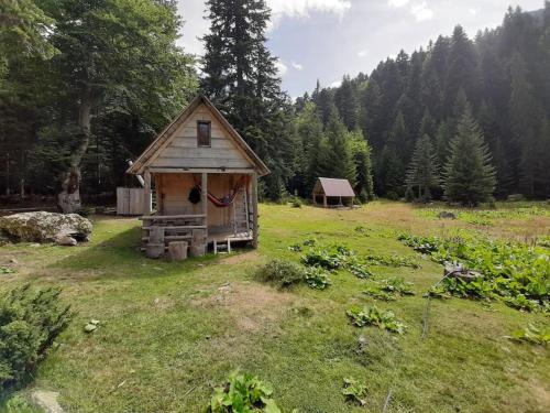 Příroda nedaleko chaty