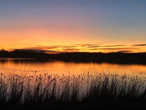 a sunset over a body of water with grass at Strandhaus JP in Maasholm