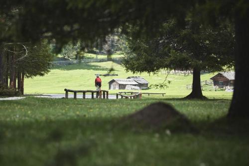 a person in a park with picnic tables and trees at AMA Stay in San Vigilio Di Marebbe