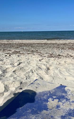 a sandy beach with the ocean in the background at Strandhaus JP in Maasholm