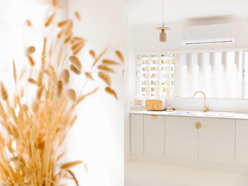 a kitchen with white cabinets and a sink and a plant at Boho Beach Retreat in La Lucia, Umhlanga in Durban